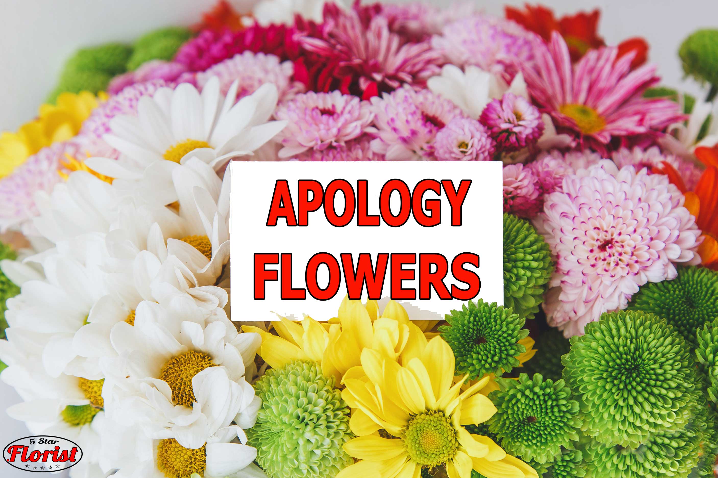 apology flowers Roseville