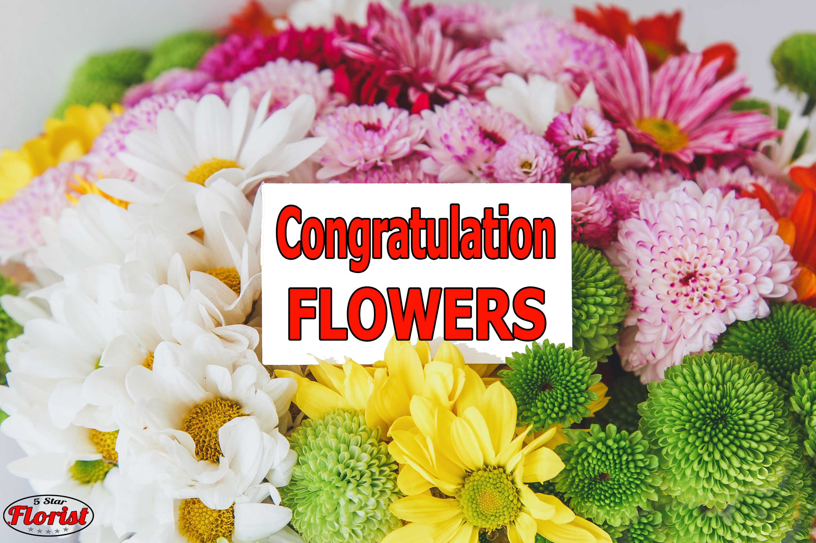 congratulations flowers Roseville