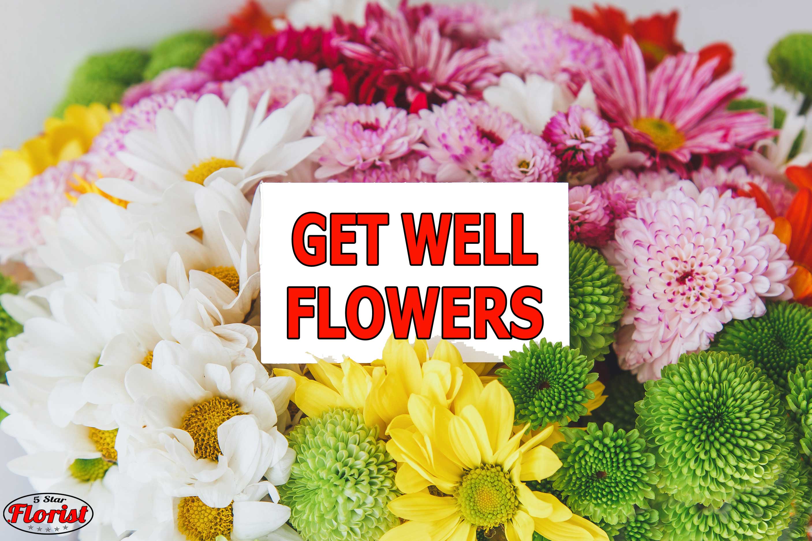 get-well-flowers Roseville