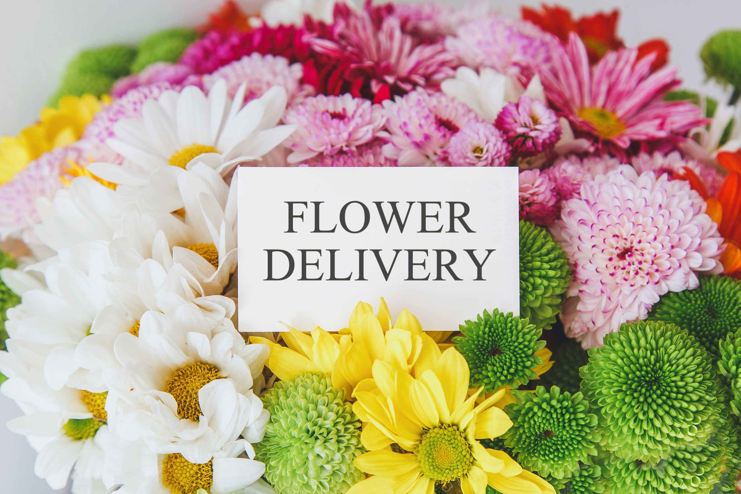 same-day-flower-delivery- Roseville